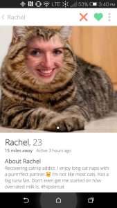 funny tinder profile cat face 5ab41d0c4cdde