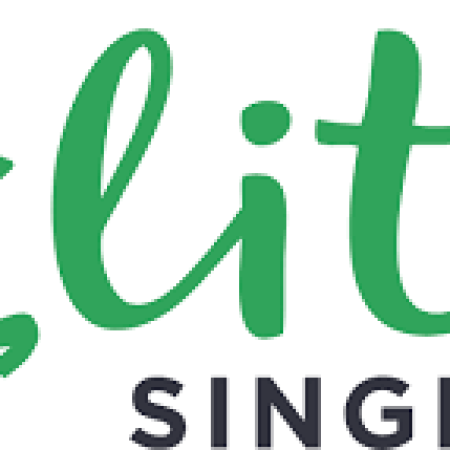 Elite Singles Profile Writing Service